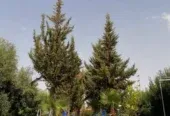 Villa à louer route de fès