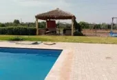 Ferme à vendre dans près de Berrechid