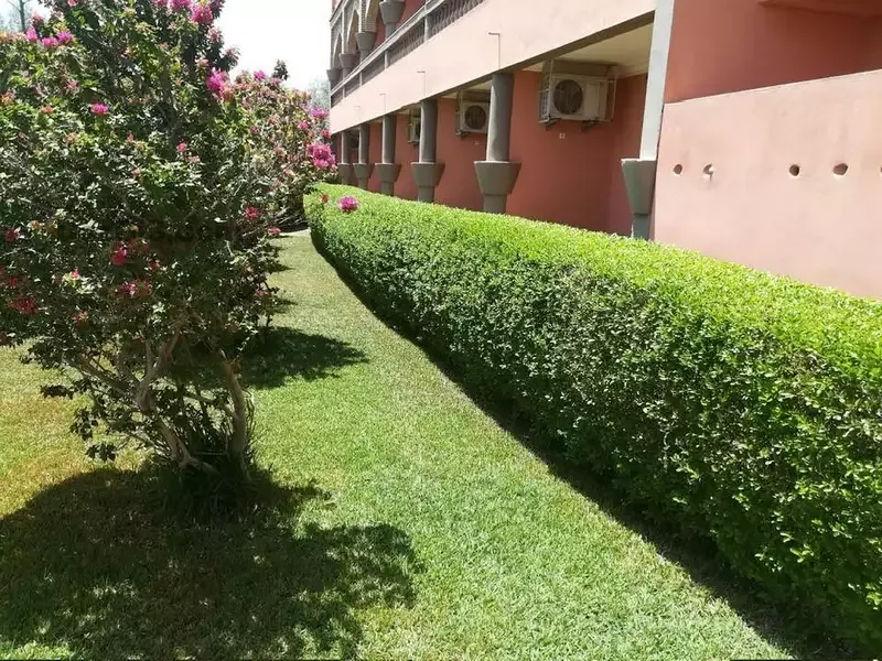 Maison d’hôtes exceptionnelle à Waha Sidi Brahim