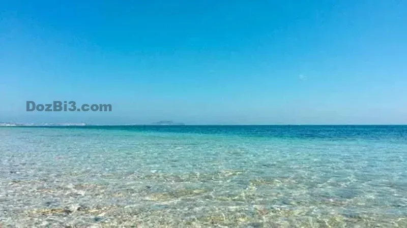 Appartement de luxe à louer près de la mer