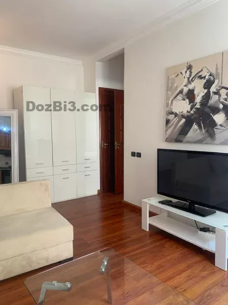 Appartement a louer Victor Hugo AVICENNE