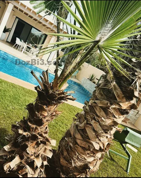Magnifique villa a vendre à 25 min D’AGADIR