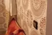 Appartement à louer hay Hassani meublé