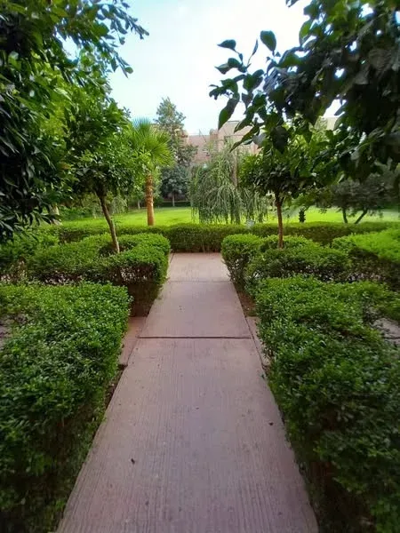 Appartement à vendre à Dar Salam résidence Princesse