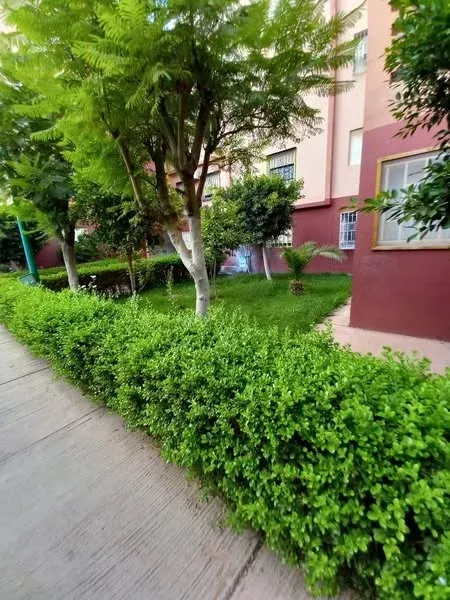 Appartement à vendre à Dar Salam résidence Princesse