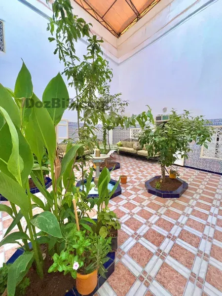 Riad et 2 Douiriat à vendre au cœur de la Médina