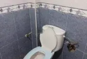 Appartement commercial à louer hay inbaat