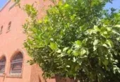 Villa à vendre près du quartier Sofia