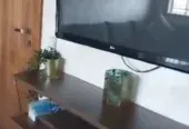 appartement meublé à louer Océan
