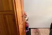 Appartement meublé à louer Jit Sakn hay Salam