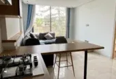 Studio à louer Palmier