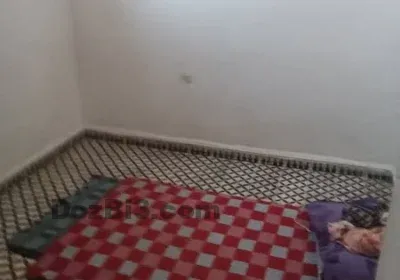 550526131_1573916437105070_3431193403948551759_n