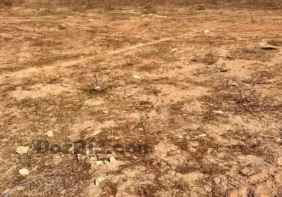 555390568_1543691873456208_4394796546579358563_n
