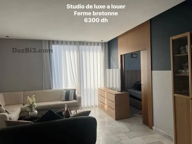 Studios de luxe à louer quartier des Hôpitaux