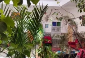 riad à rénover à vendre Mouassine