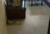 Appartement meublé a louer quartier l’océan