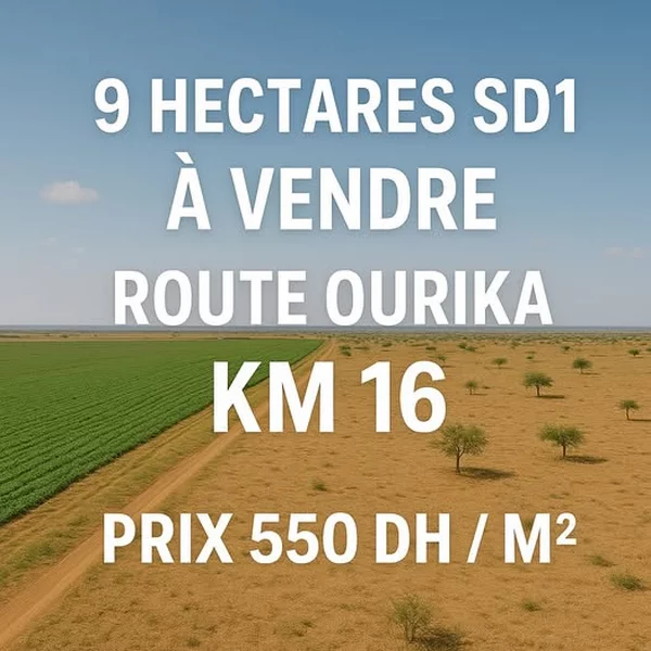 Terrain 9 Hectares SD1 titré à vendre Route Ourika