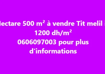 Sans-titre-11