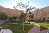 appartement meublé neuf à louer Basatin Targa