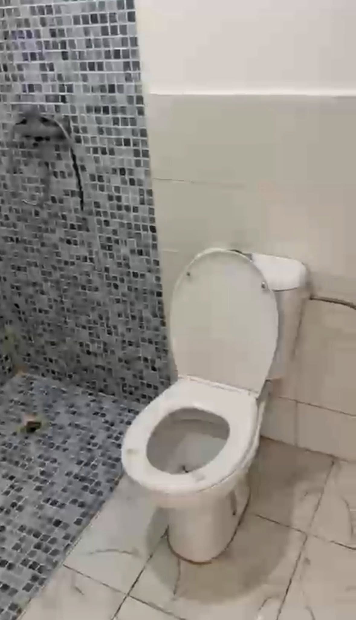 appartement à louer à Tit Mellil