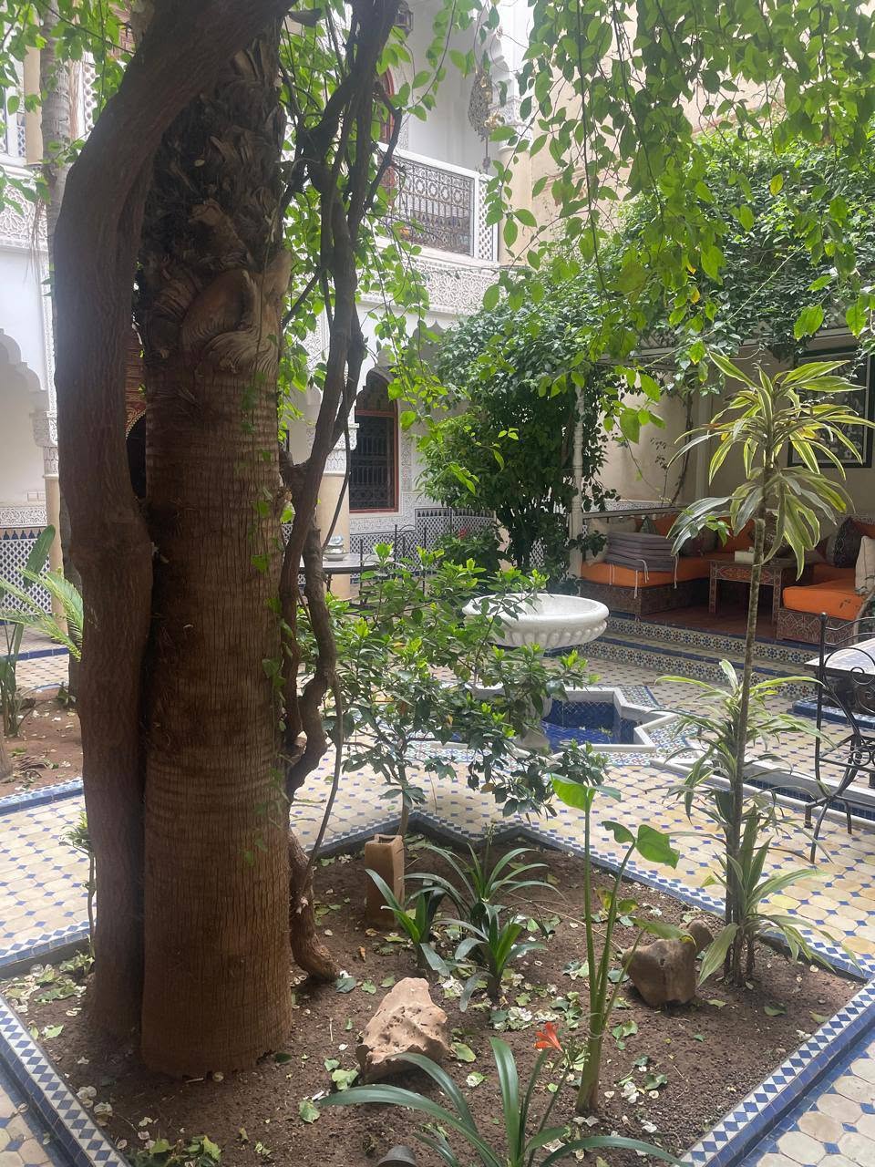 Riad d’exception titré à vendre RAHBA MÉDINA