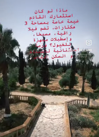 ferme a vendre à SIDI EL AIDI
