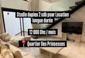 Studio duplex meublé à louer Les Princesses