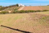 Ferme à vendre جمعة فضالات Mohammédia