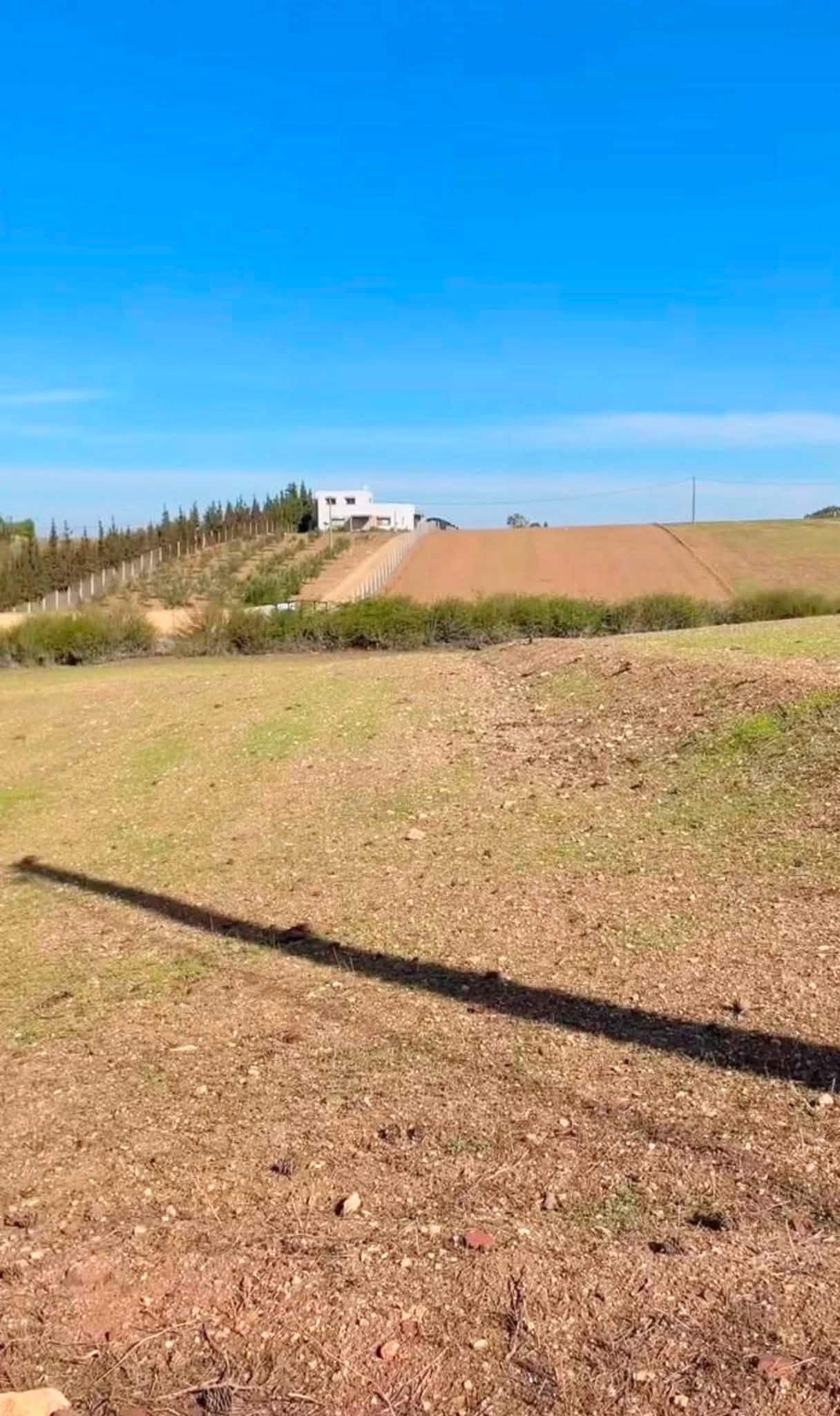 Ferme à vendre جمعة فضالات Mohammédia