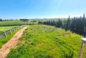 Ferme à vendre جمعة فضالات Mohammédia