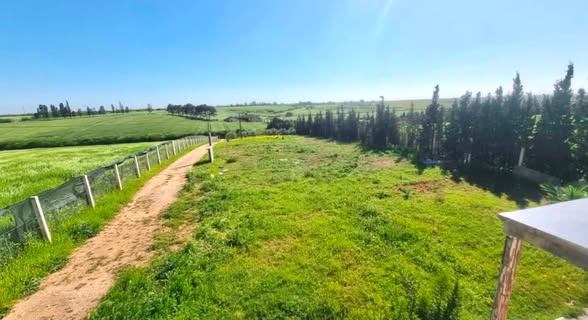 Ferme à vendre جمعة فضالات Mohammédia