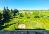 Ferme à vendre جمعة فضالات Mohammédia