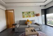 Studio meublé à louer quartier des Hôpitaux