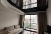 Studio duplex meublé à louer quartier Palmier
