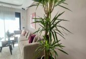 Studio meublé à louer à Boulevard Al Massira