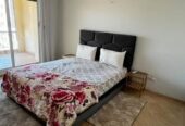 Appartement à louer à Palmier