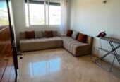 Appartement à louer à Palmier